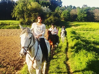 Paseos a caballo en vigo